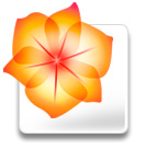 Illustrator