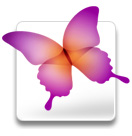 InDesign