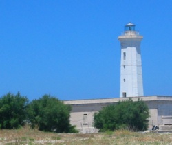 viti