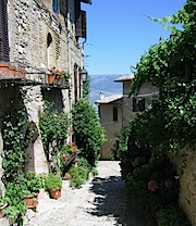 montefalco2