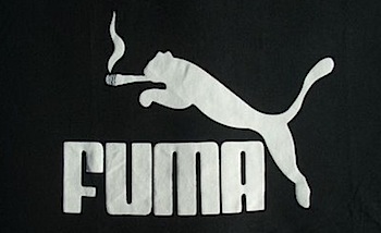 fuma