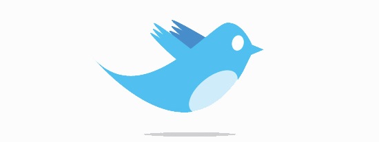 twitterbirdy